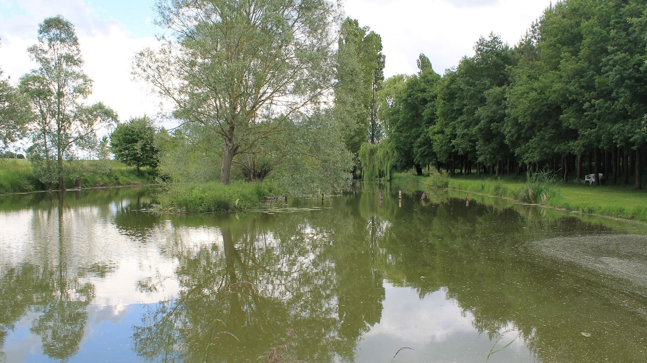 Photo of Outdoor in Deneze-sous-le-Lude