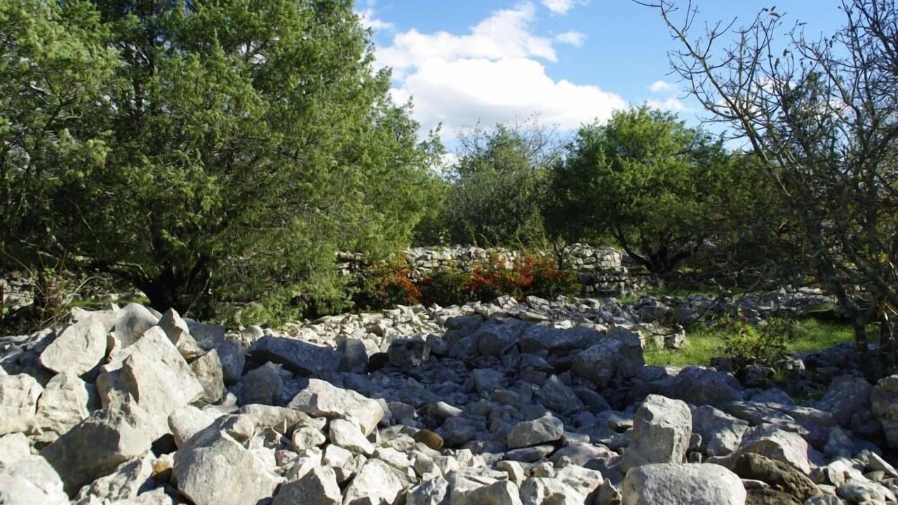 Photo of Outdoor in Labeaume