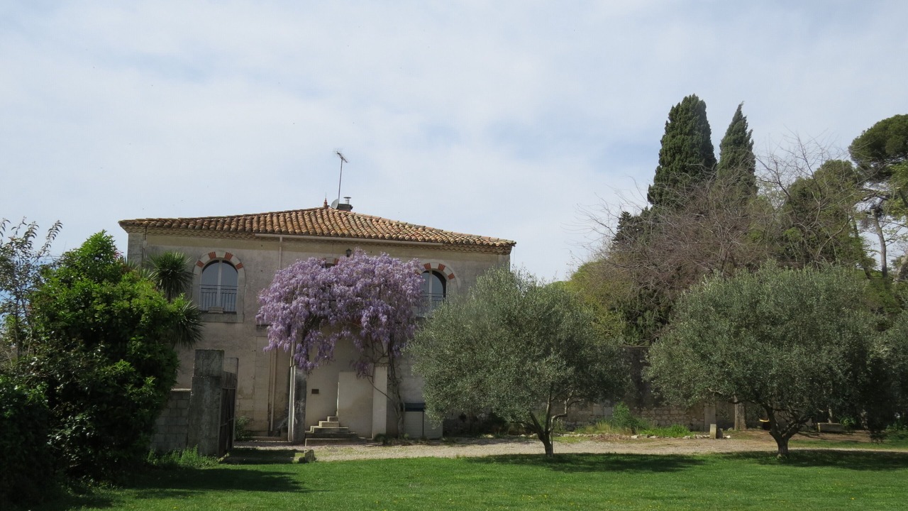 Photo of Outdoor in Lunel-Viel
