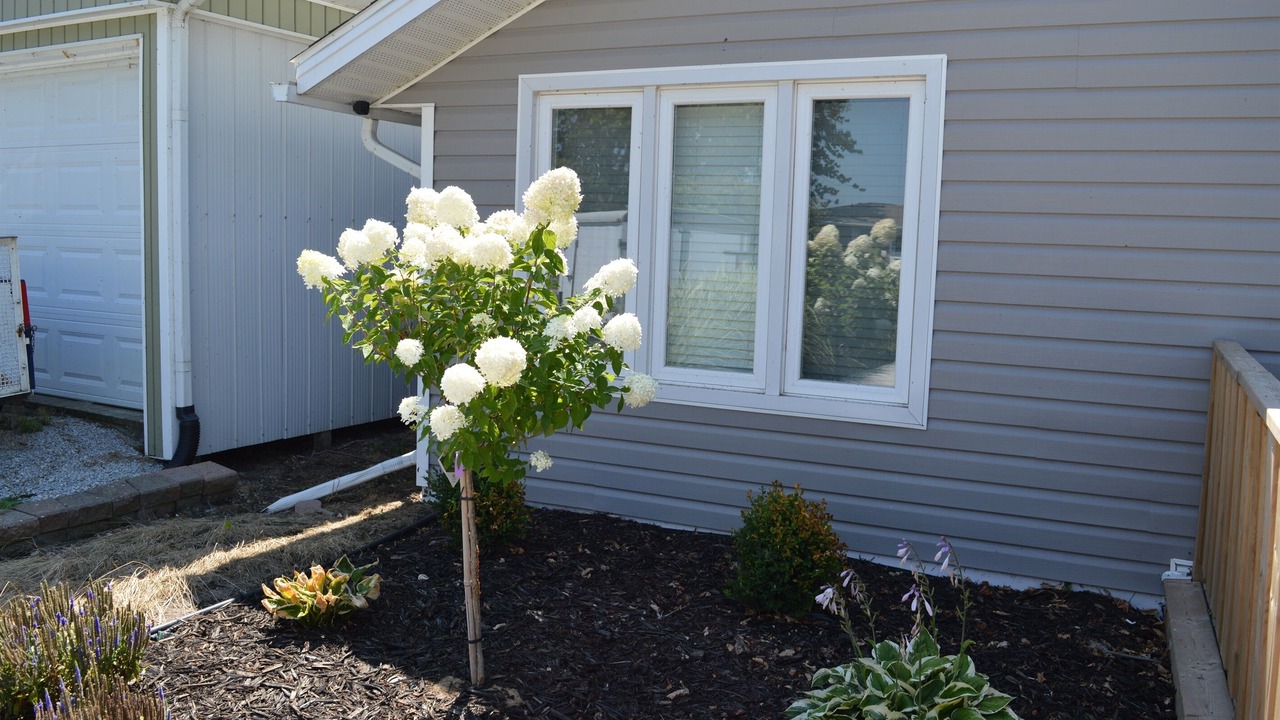Photo of Outdoor in Leamington