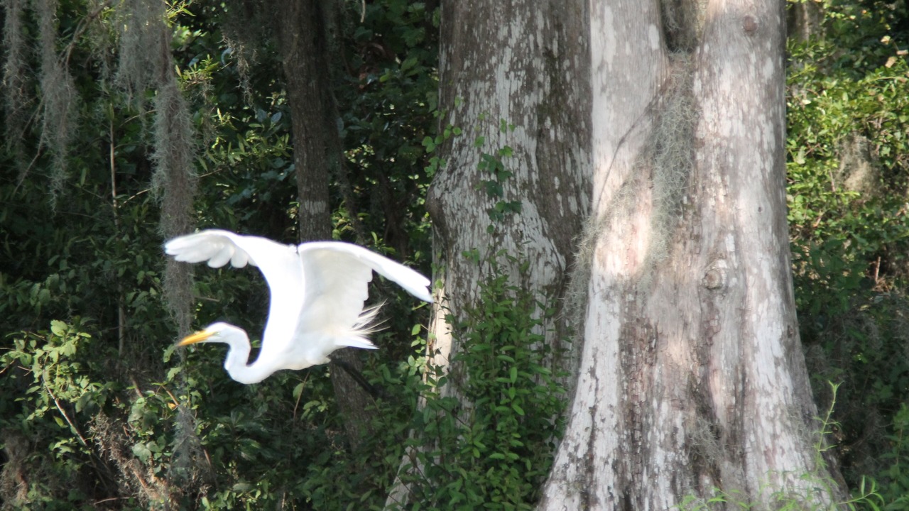 Photo of Others in Madison