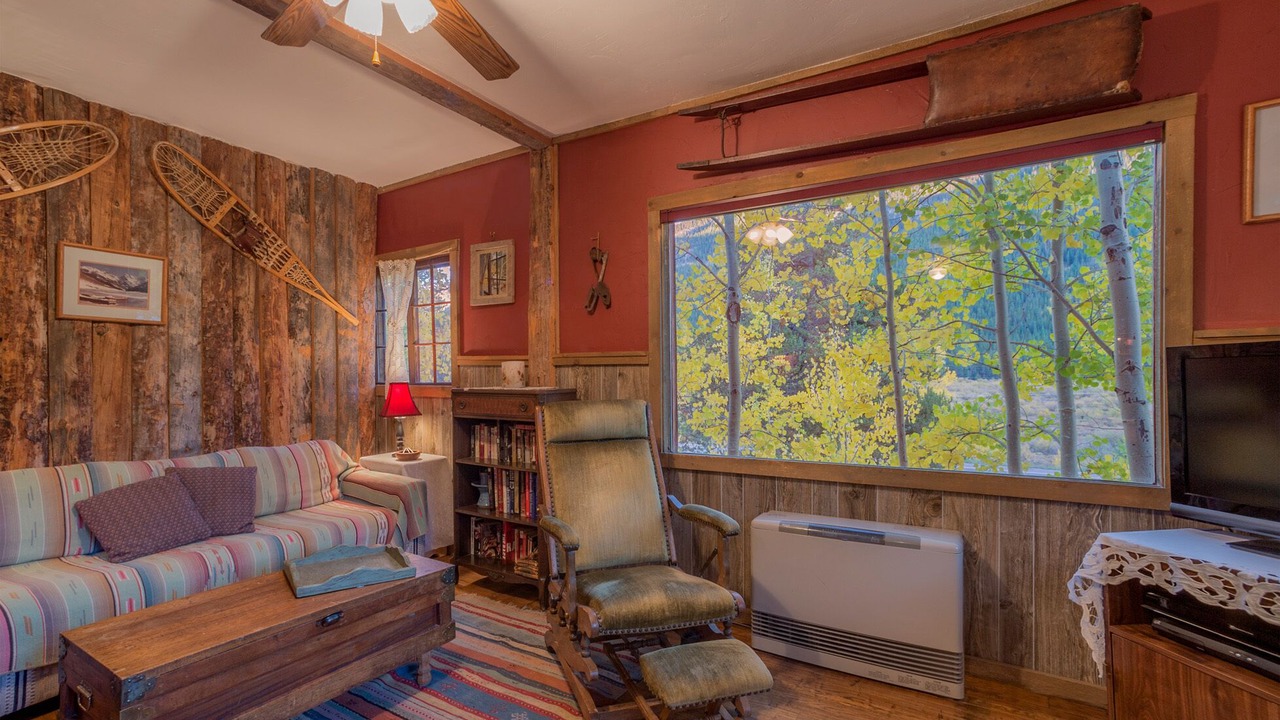 Photo of Livingroom in Leadville