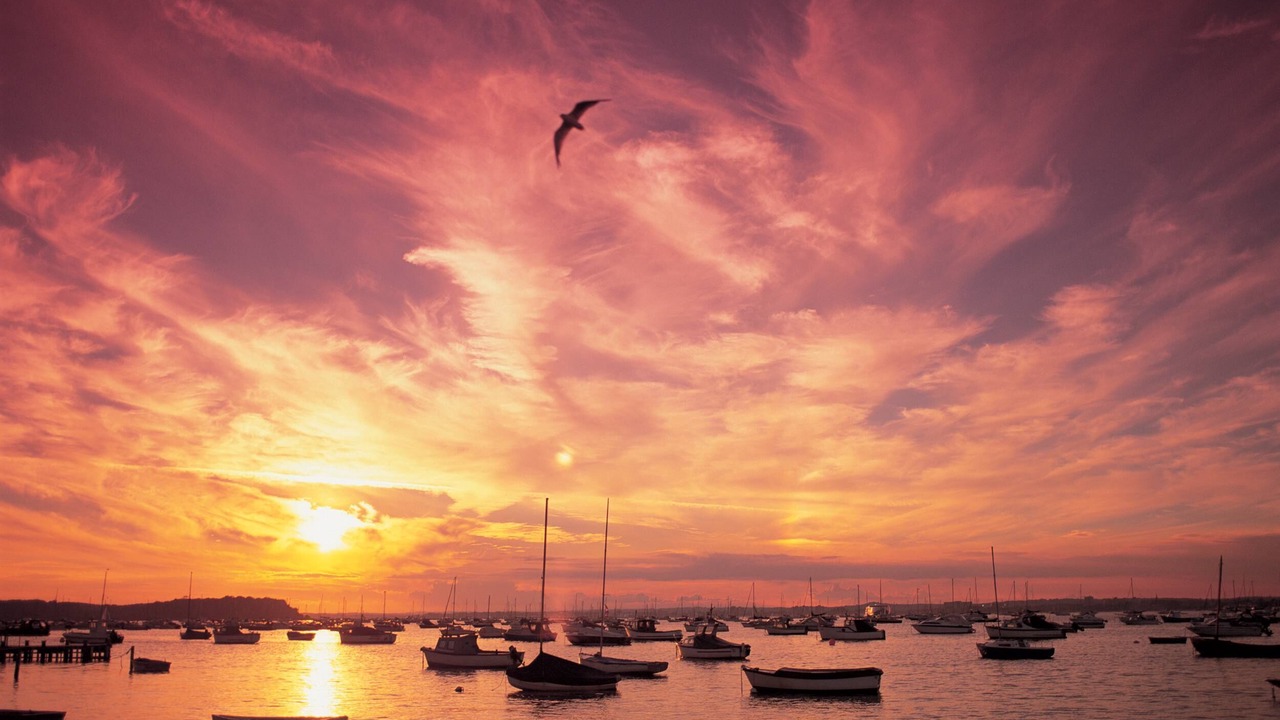 Photo of Others in Poole