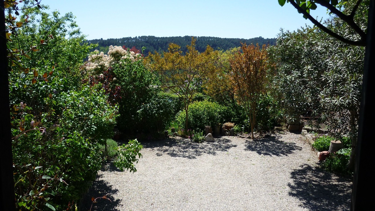 Photo of Others in Ribes