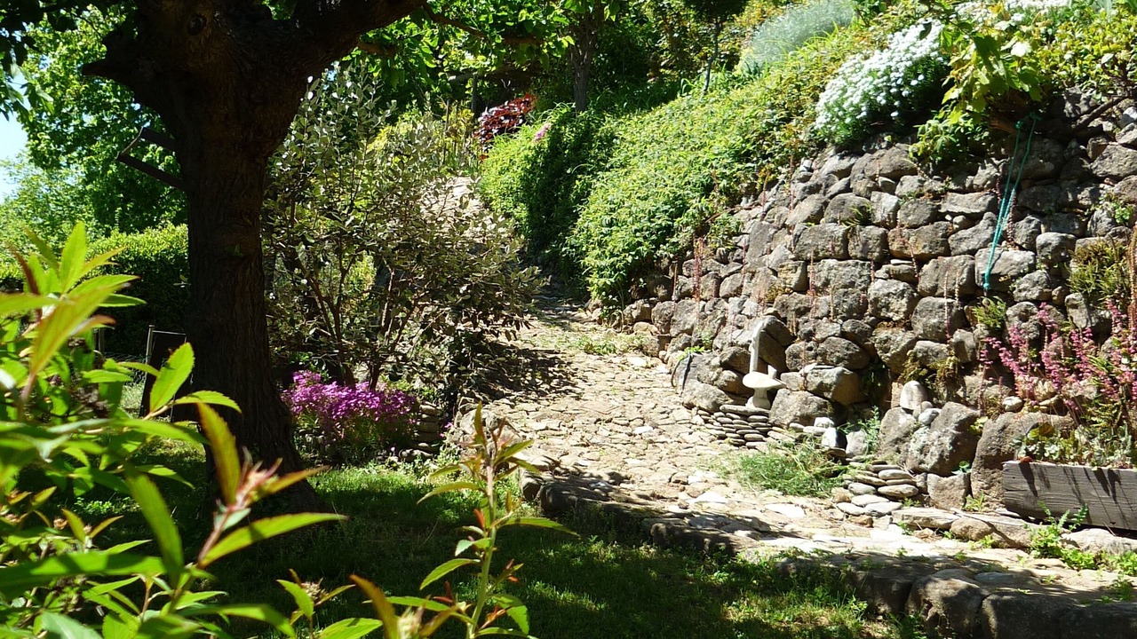 Photo of Outdoor in Ribes