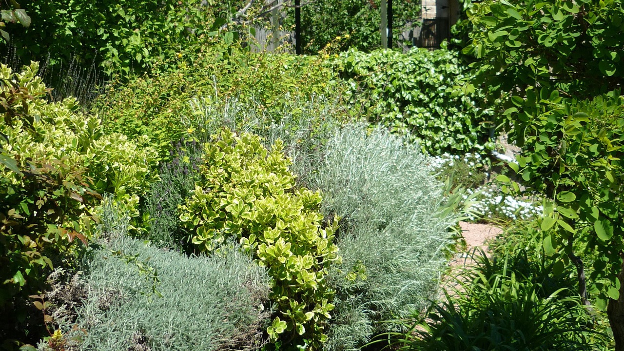 Photo of Outdoor in Ribes