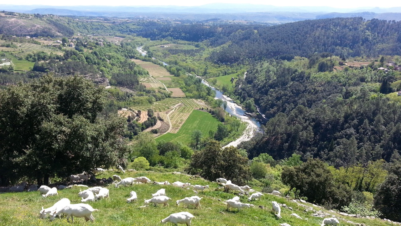 Photo of Others in Ribes