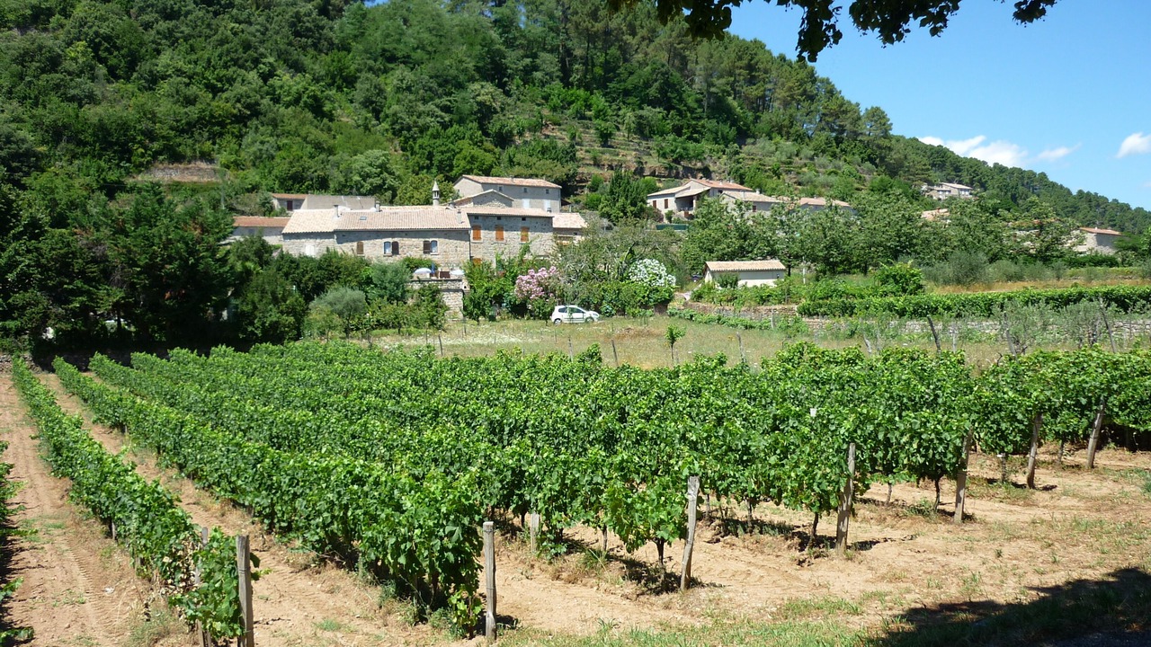 Photo of Others in Ribes