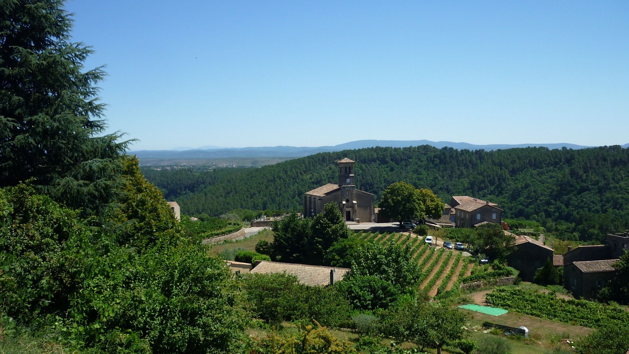 Photo of Others in Ribes