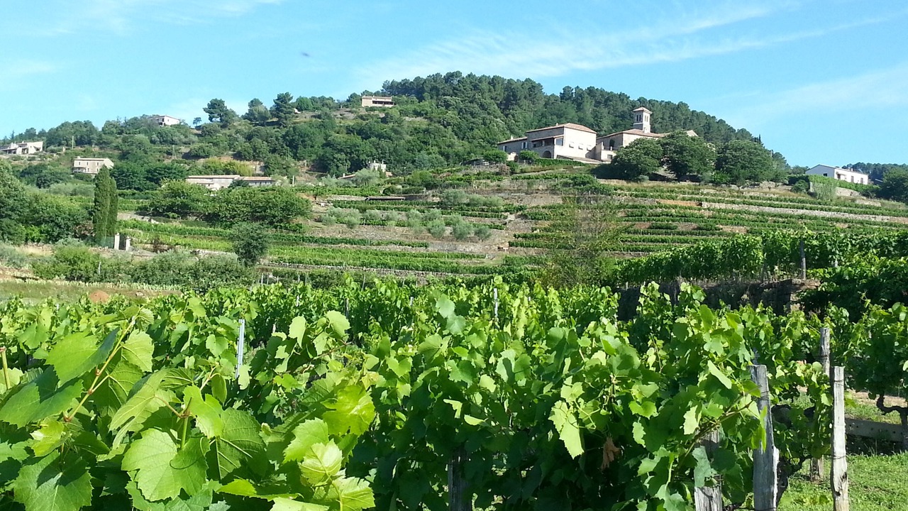 Photo of Others in Ribes