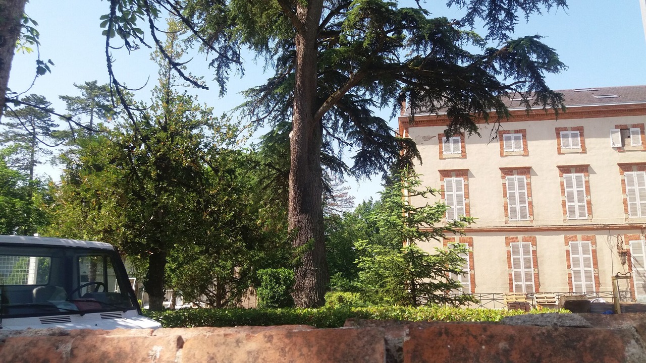 Photo of Outdoor in Fiac