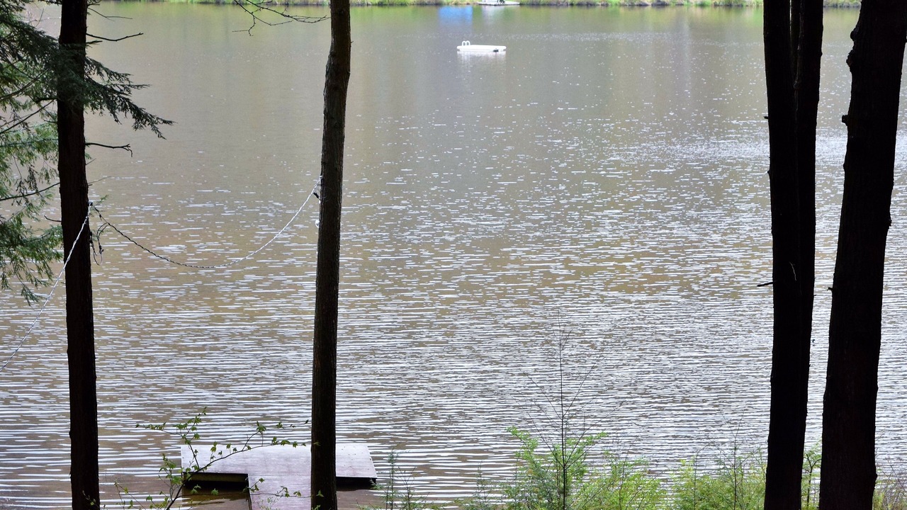 Photo of Others in Stamford