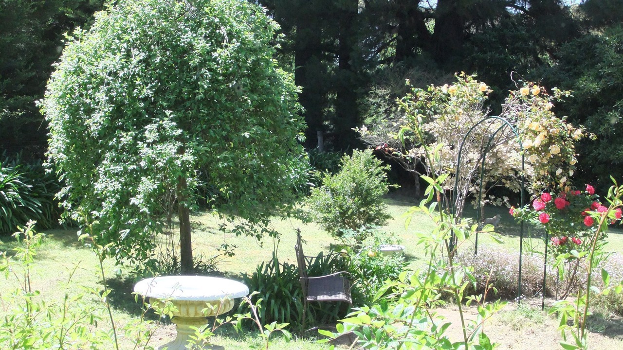 Photo of Outdoor in Red Hill South