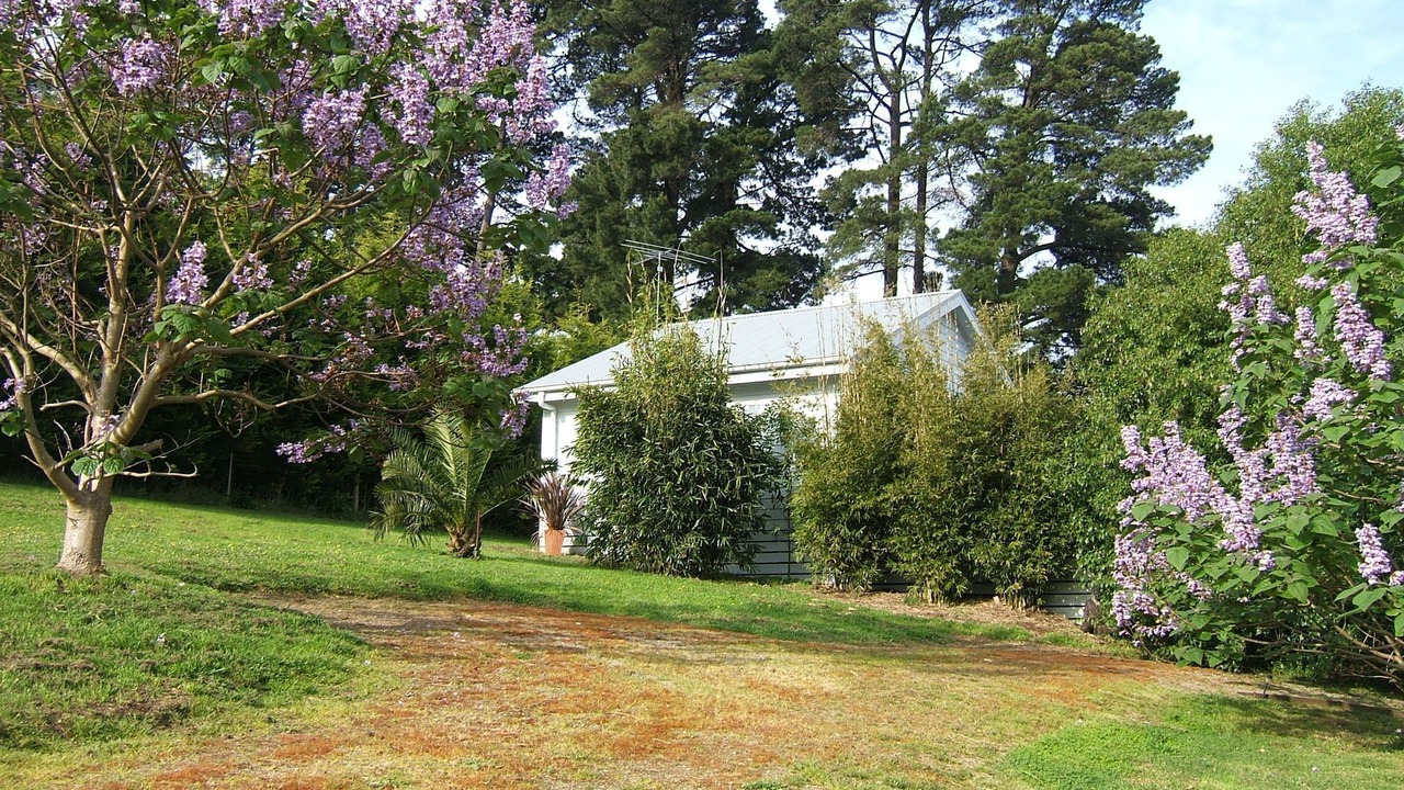Photo of Outdoor in Red Hill South