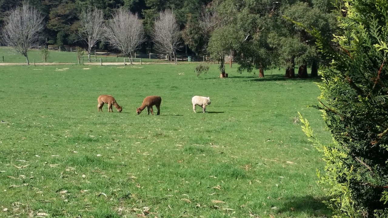 Photo of Outdoor in Red Hill South
