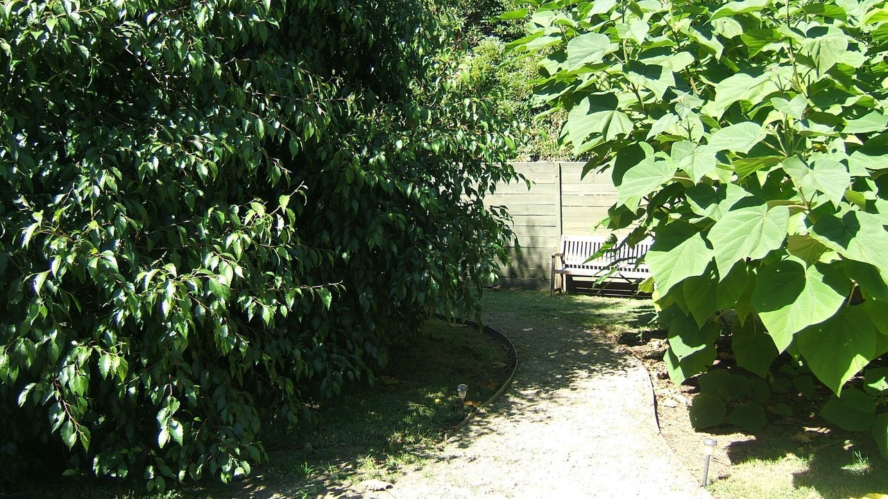 Photo of Outdoor in Red Hill South