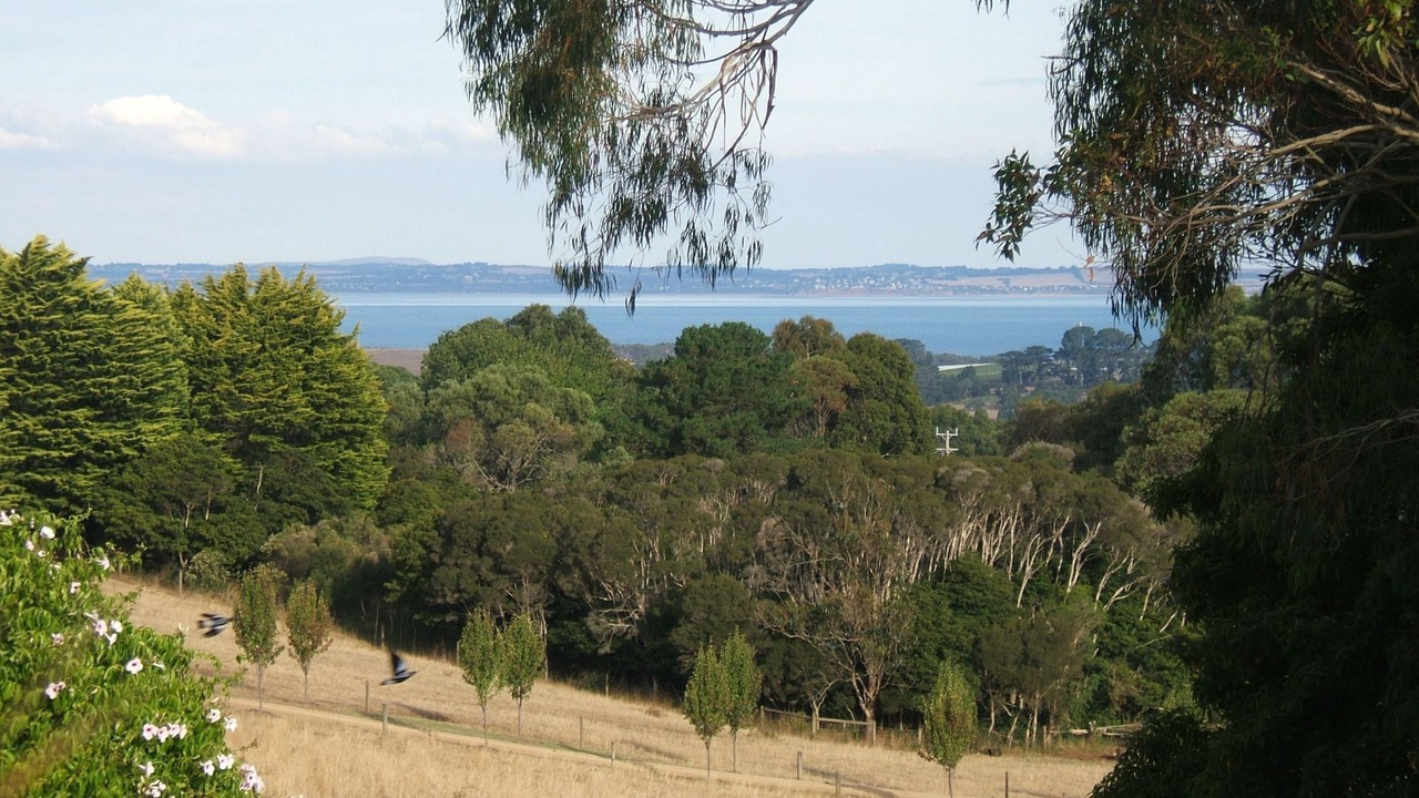 Photo of Outdoor in Red Hill South