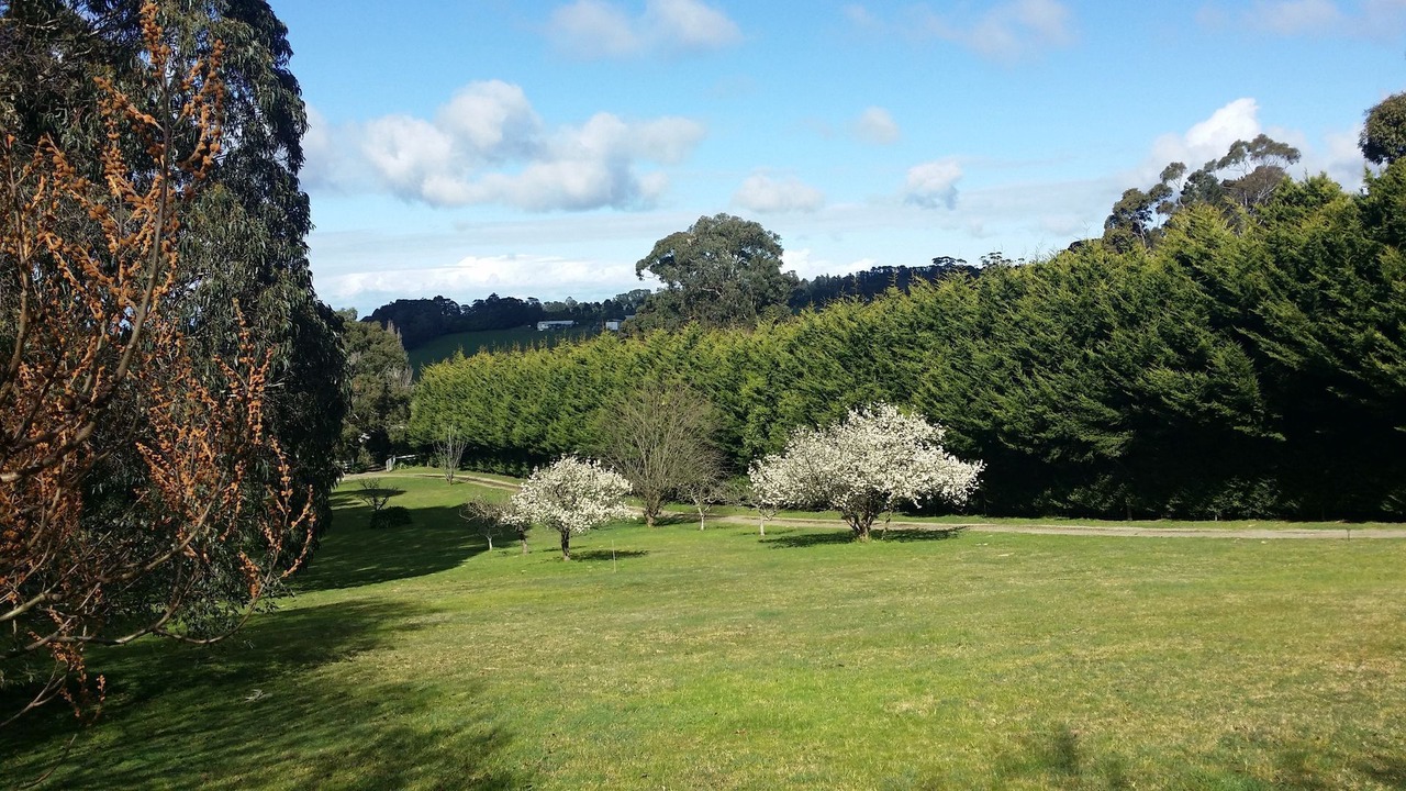 Photo of Outdoor in Red Hill South