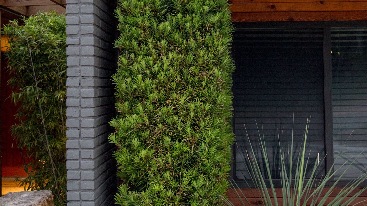 Photo of Outdoor in Mountainview
