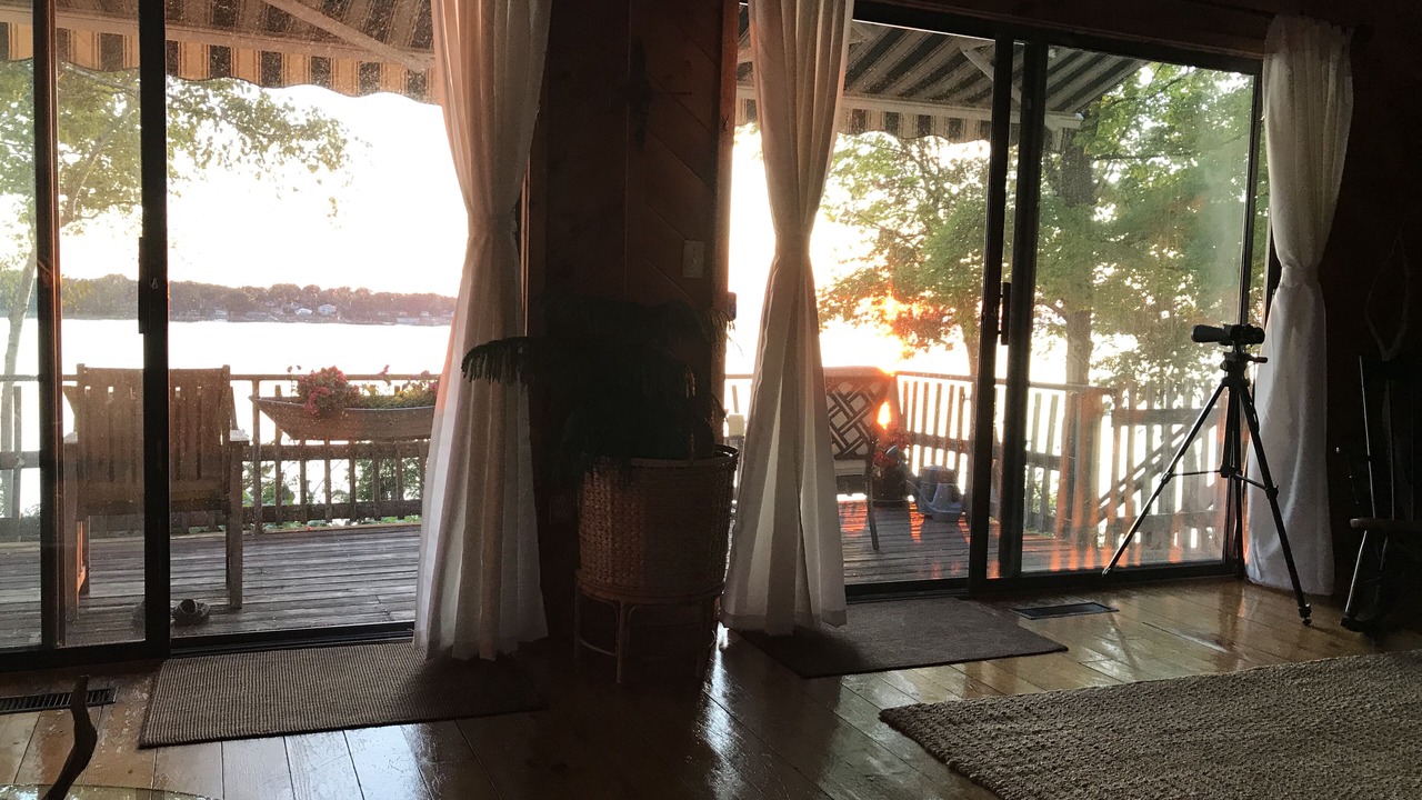 Photo of Others in Malletts Bay