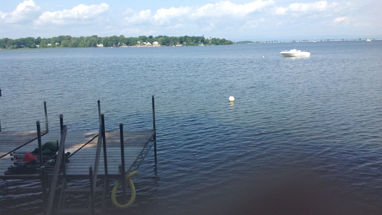 Photo of Others in Malletts Bay