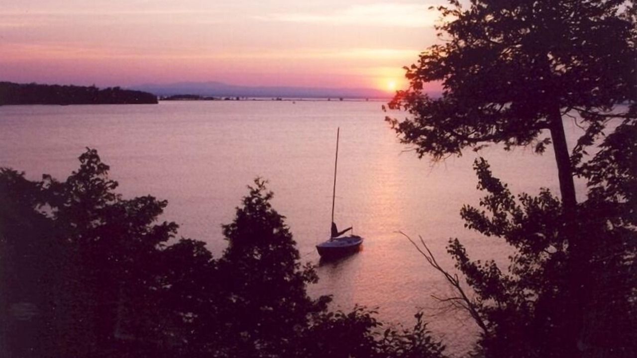 Photo of Others in Malletts Bay