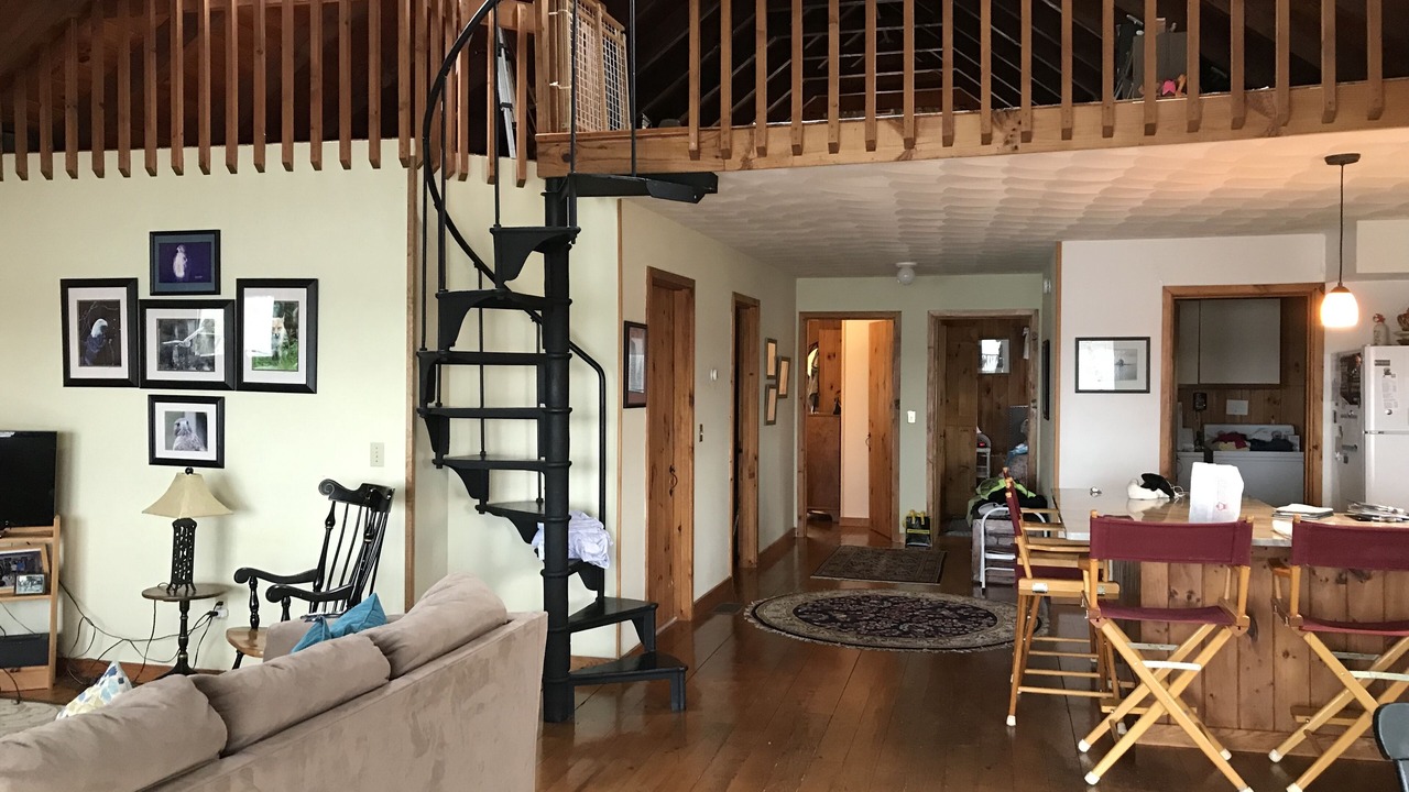 Photo of Others in Malletts Bay