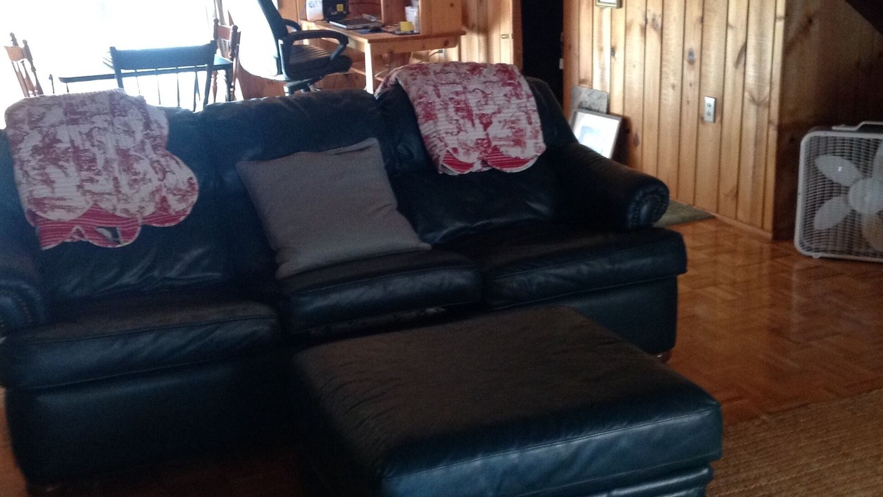 Photo of Livingroom in Malletts Bay