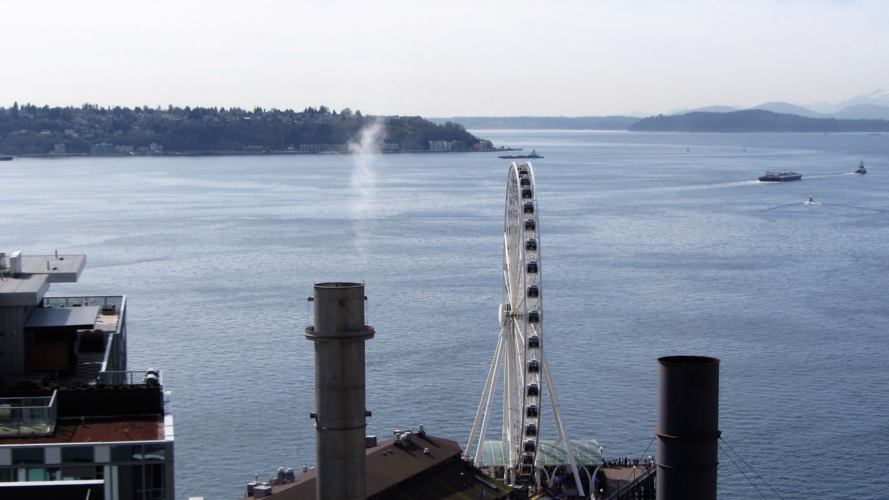 Photo of Others in Downtown Seattle