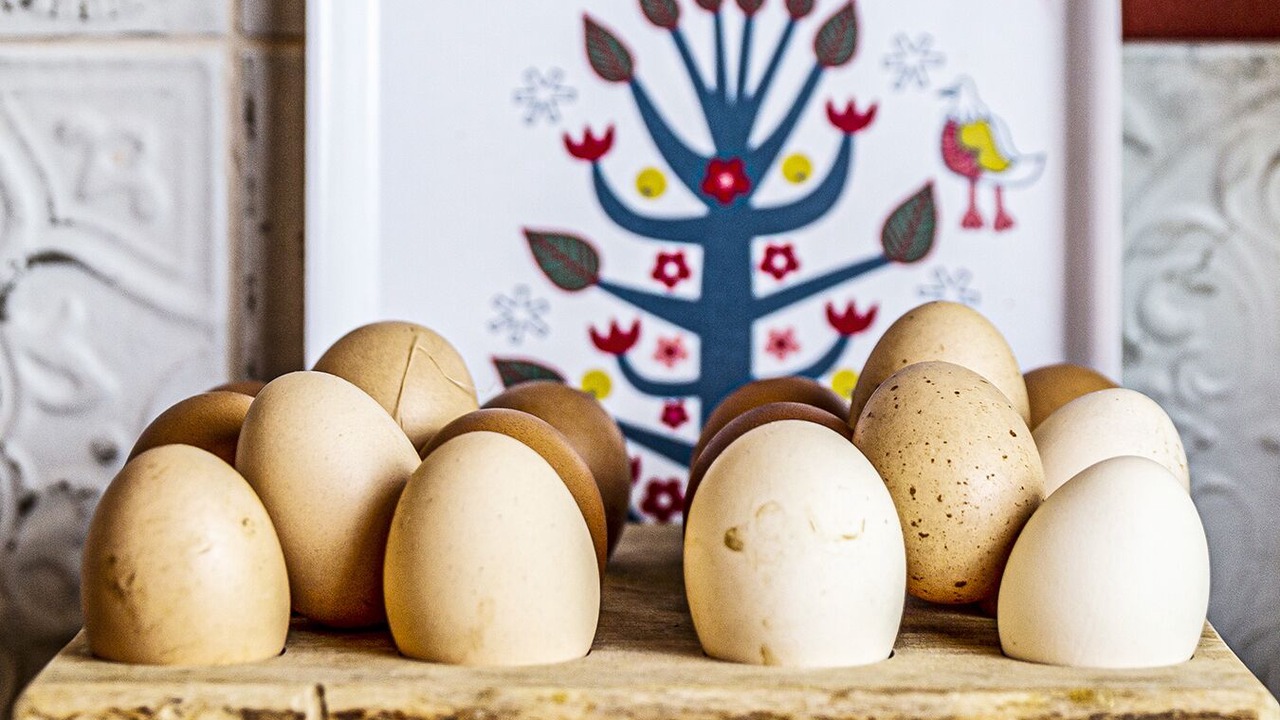 Photo of Others in Cantenac