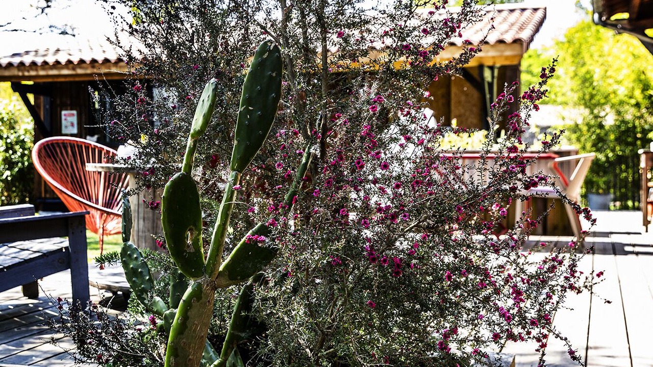 Photo of Patio Balcony in Cantenac
