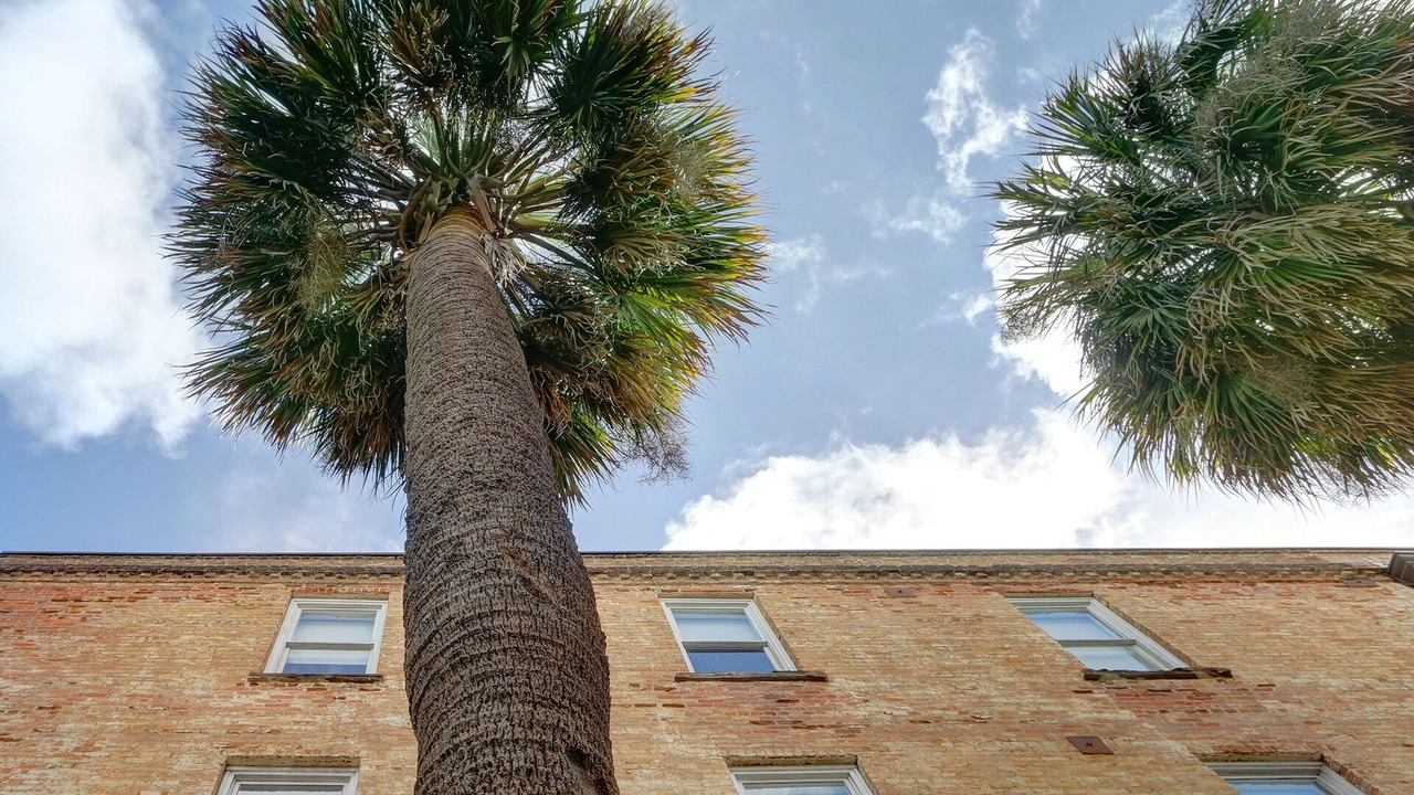 Photo of Outdoor in Historic District - North