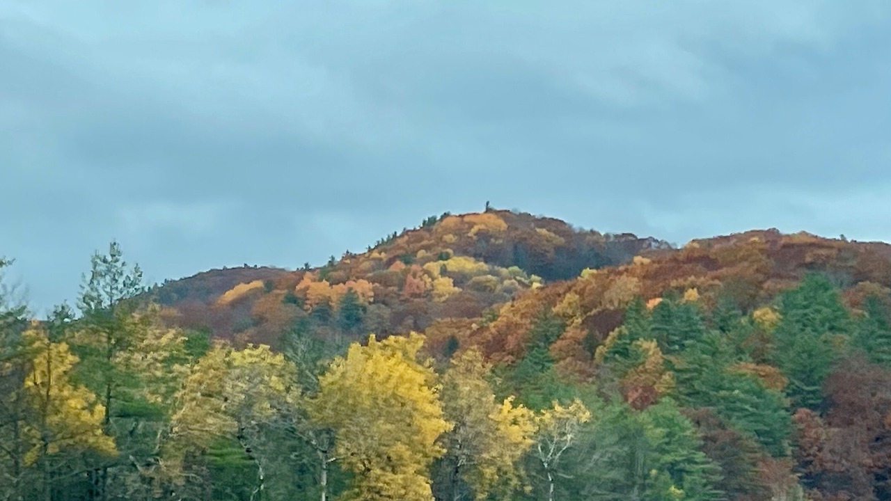 Photo of Others in Carroll