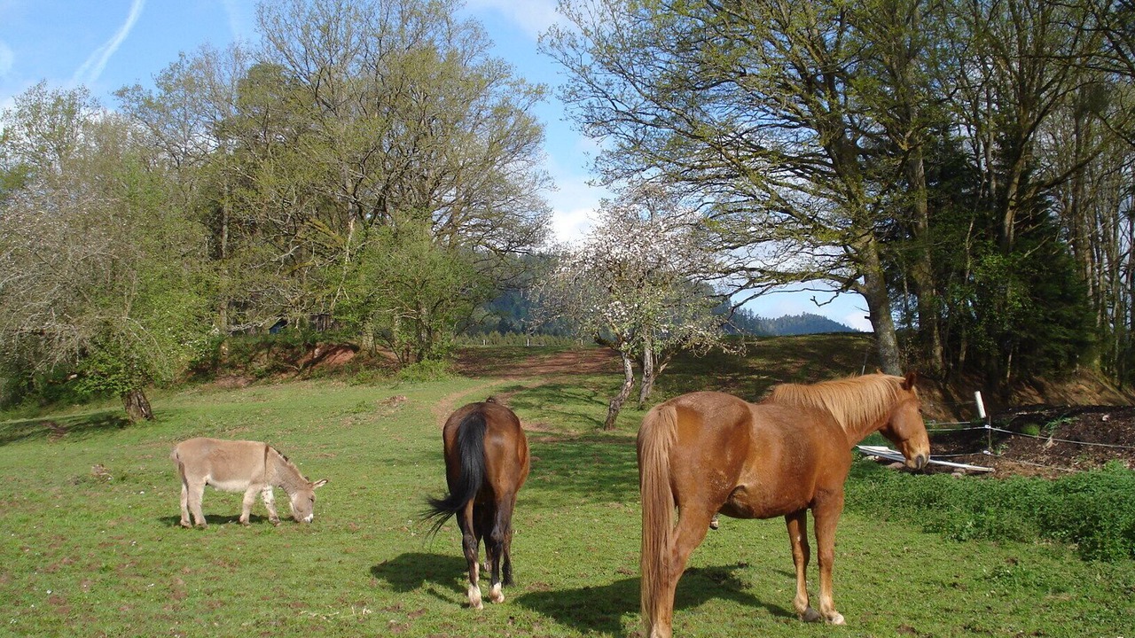 Photo of Outdoor in Mesnil Sous Les Cotes