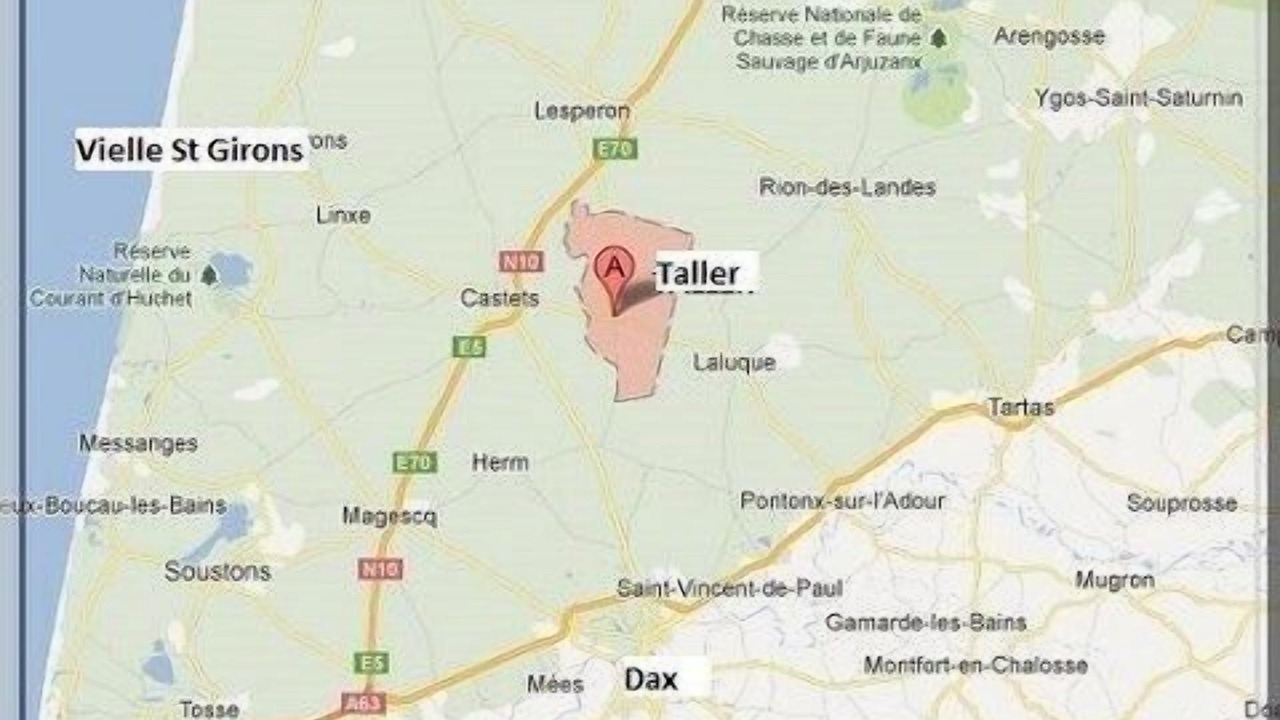Photo of Others in Taller