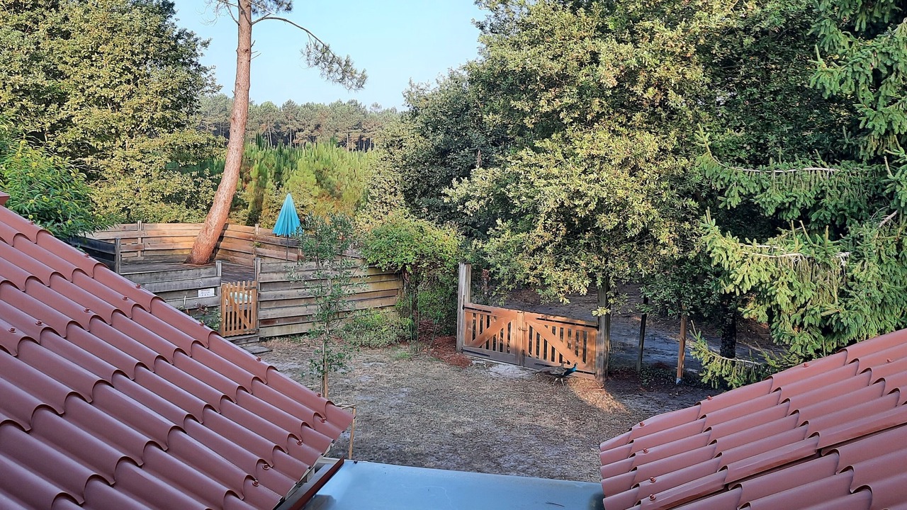 Photo of Outdoor in Taller