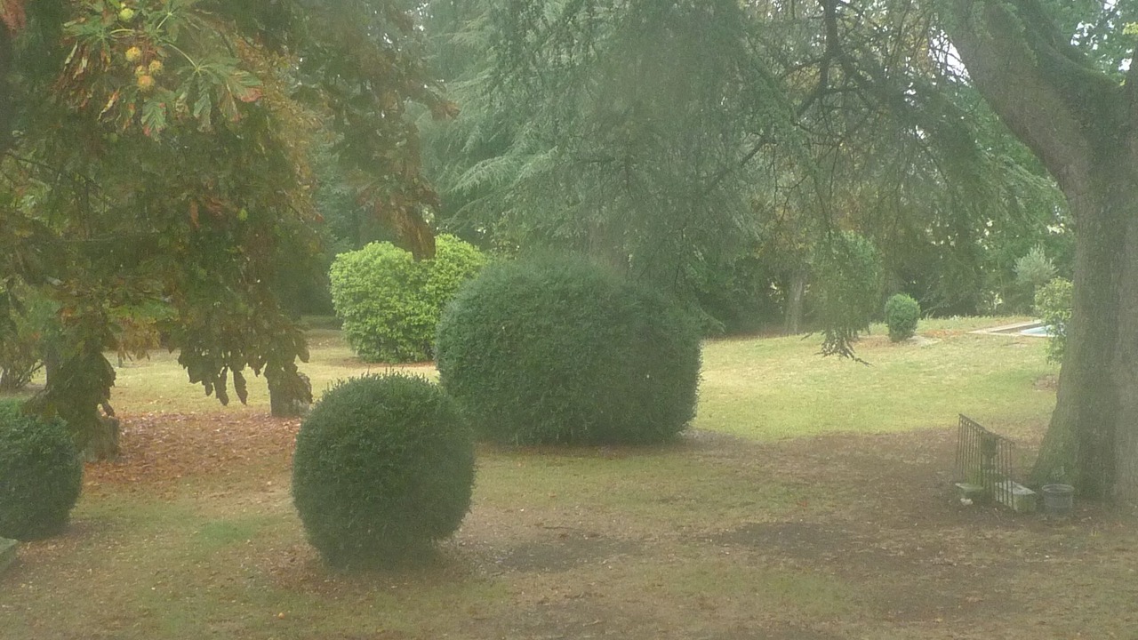 Photo of Outdoor in Saint-Martin-de-Goyne