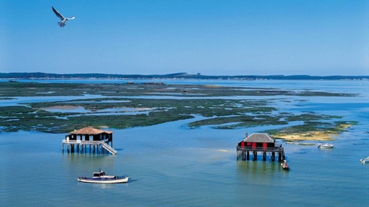 Photo of Others in Biganos