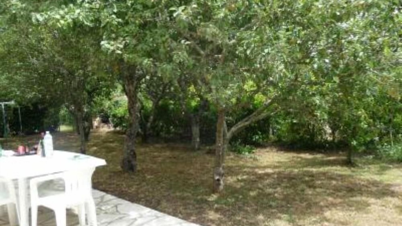 Photo of Outdoor in Sene