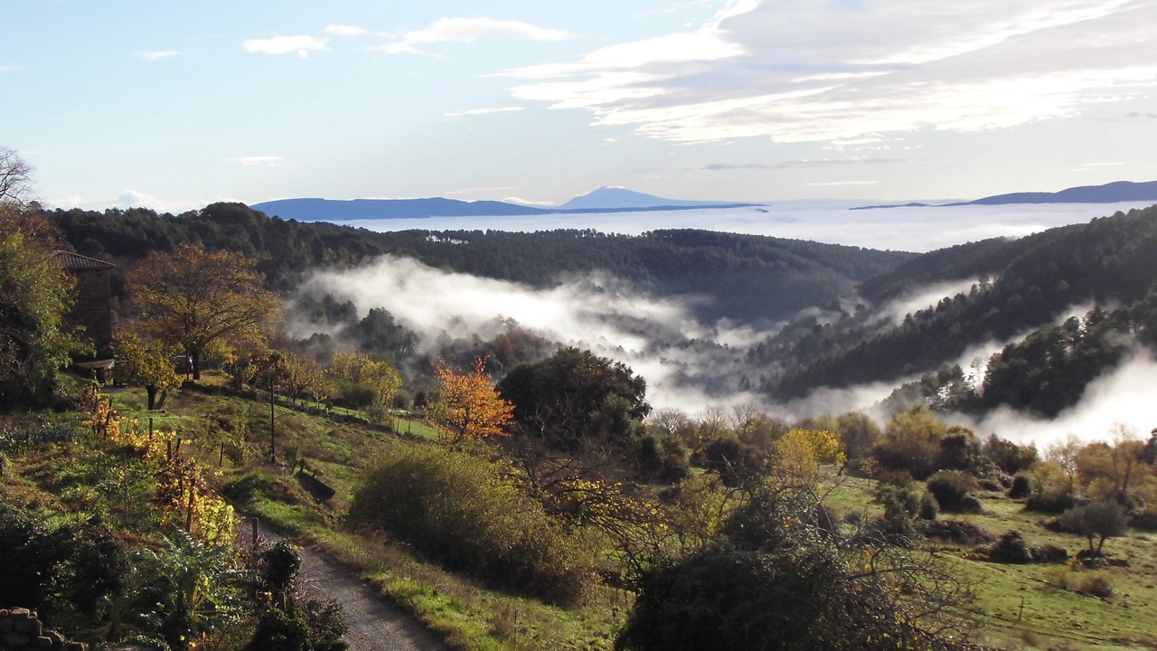 Photo of Outdoor in Faugeres