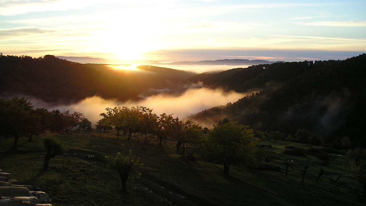 Photo of Outdoor in Faugeres