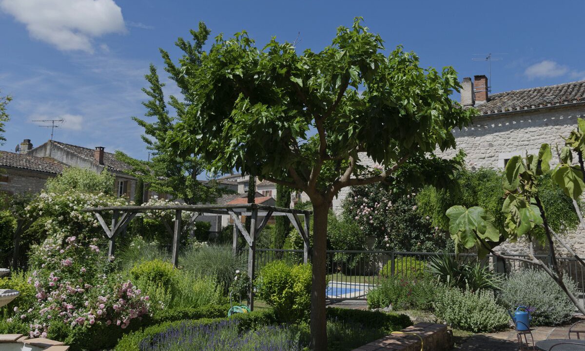 Photo of Outdoor in Vieux