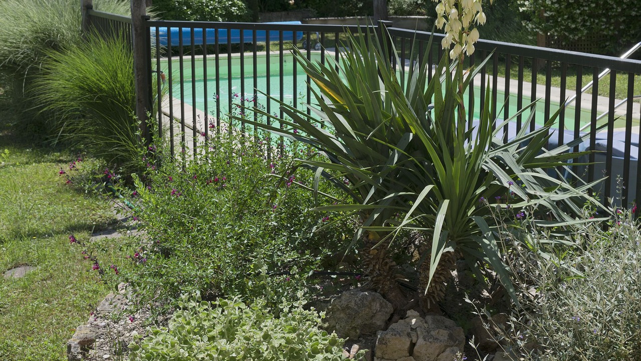Photo of Outdoor in Vieux