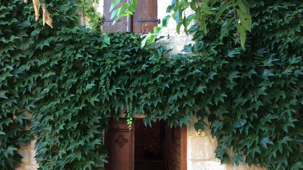 Photo of Outdoor in Vieux