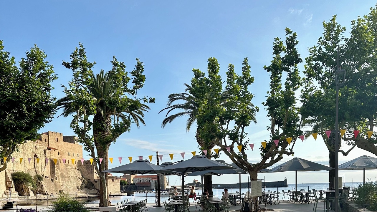 Photo of Others in Collioure