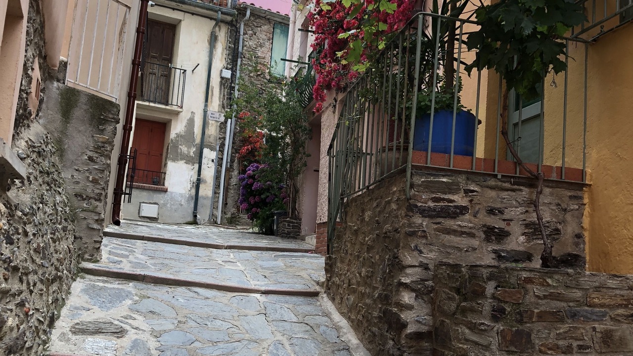 Photo of Others in Collioure