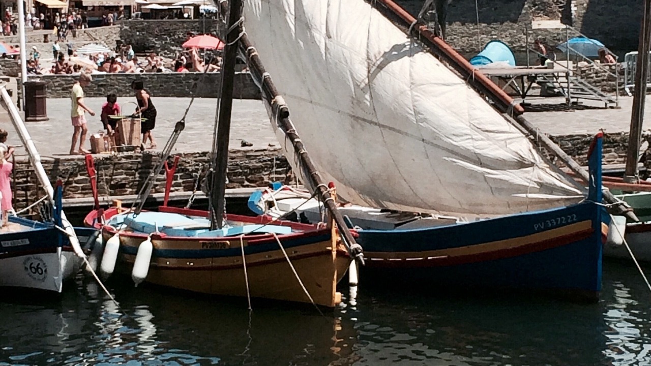 Photo of Others in Collioure