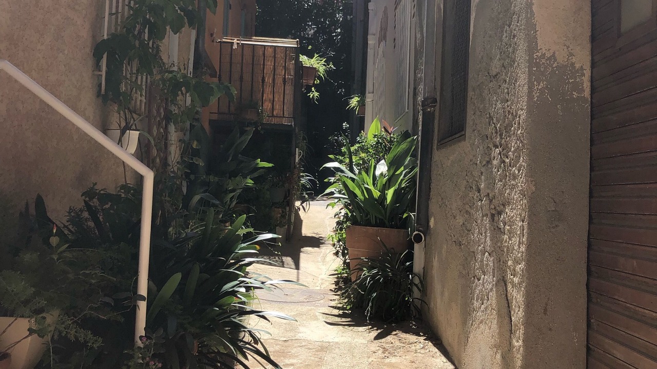 Photo of Others in Collioure