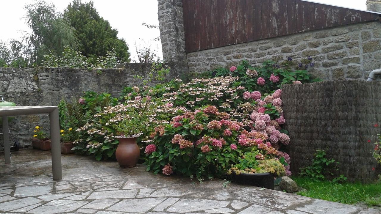 Photo of Outdoor in Dinan