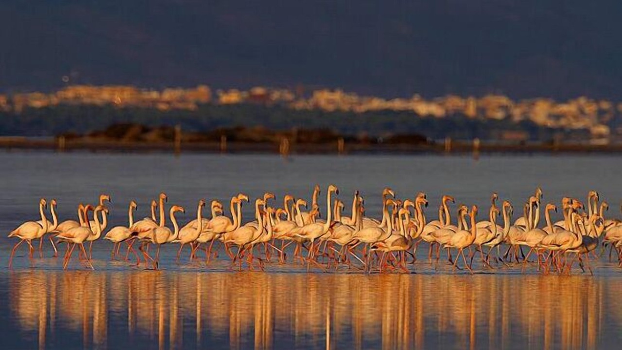 Photo of Others in Costa Dorada